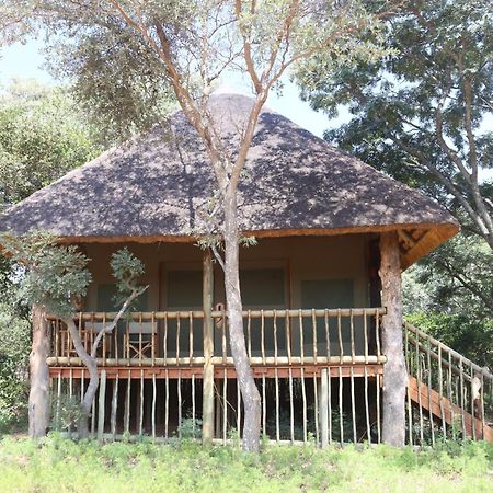 Honeyguide Ranger Camp Hotel Golders Green Kültér fotó