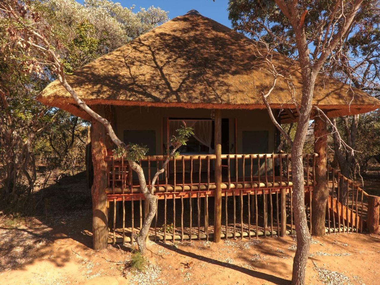Honeyguide Ranger Camp Hotel Golders Green Kültér fotó