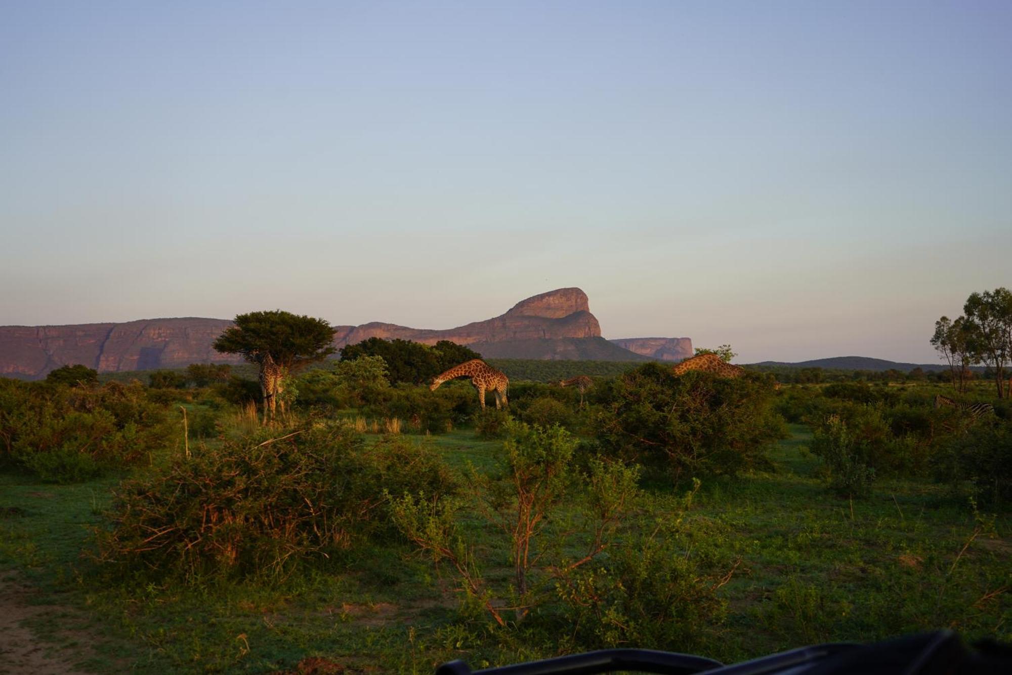 Honeyguide Ranger Camp Hotel Golders Green Kültér fotó