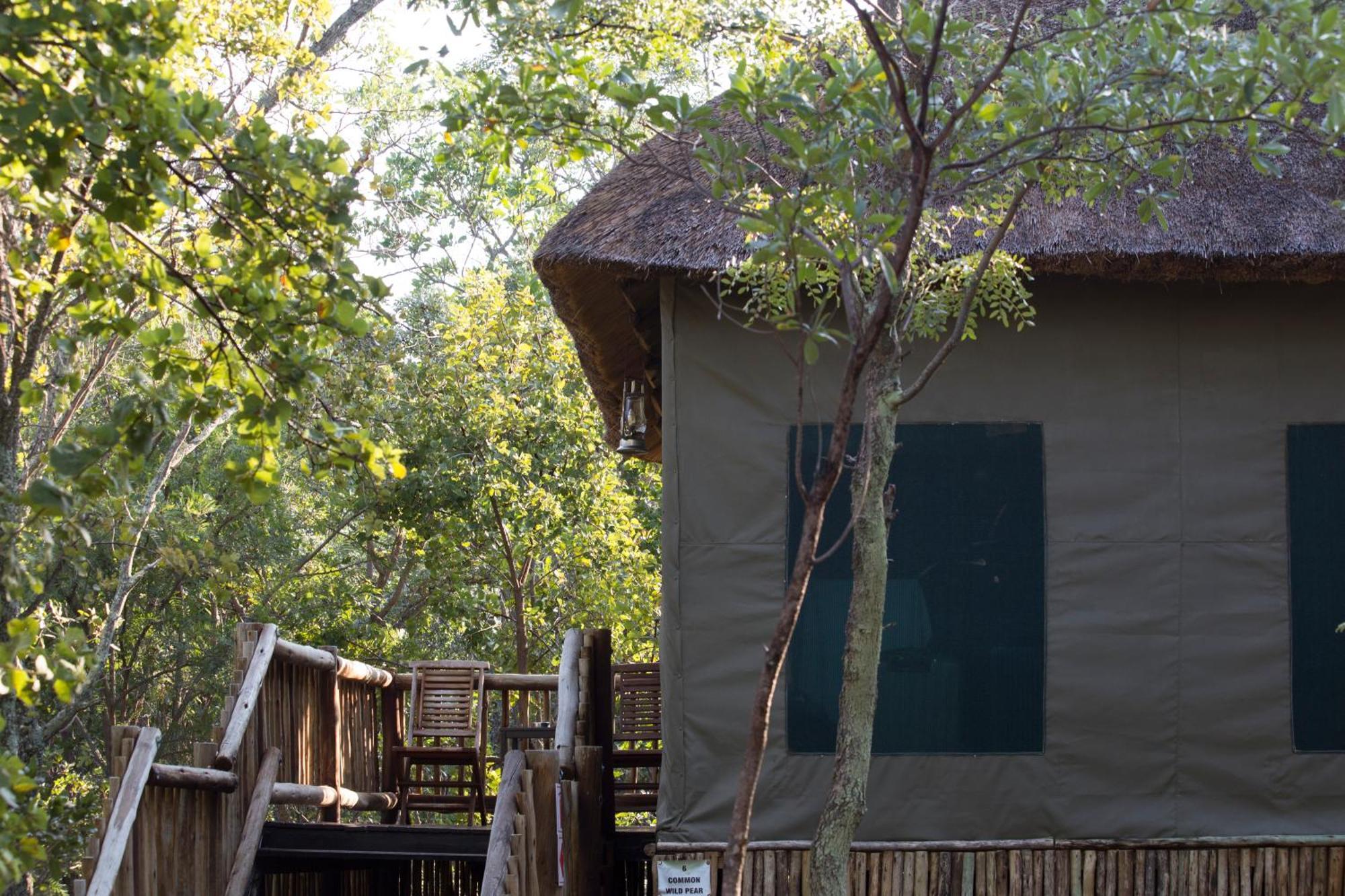 Honeyguide Ranger Camp Hotel Golders Green Szoba fotó